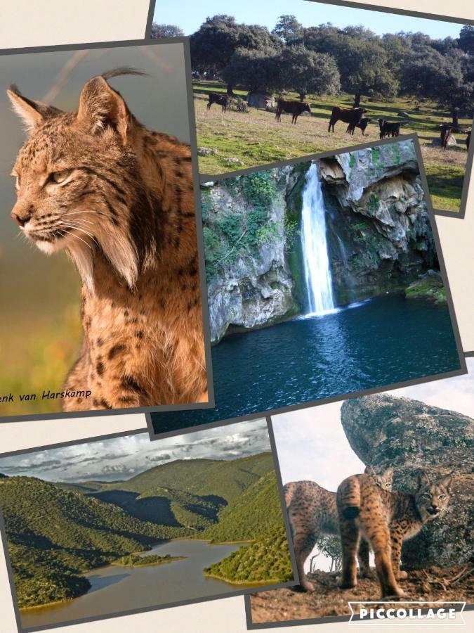 Higuera de ArjonaCasa Quico别墅 外观 照片